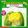 Cover of: Scholastic's the magic school bus in a pickle