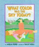 Cover of: What color was the sky today?