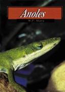 Anoles by Wil Mara