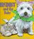 Cover of: McDuff and the baby