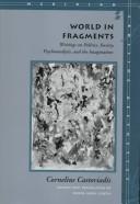 World in fragments : writings on politics, society, psychoanalysis, and the imagination