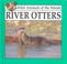 Cover of: River otters