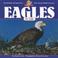 Cover of: Eagles for kids