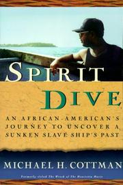 Cover of: Spirit Dive: An African American's Journey to Uncover a Sunken Slave Ship's Past