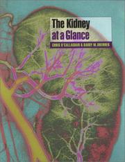 The kidney at a glance