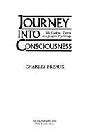 Cover of: Journey into consciousness: the chakras, tantra, and Jungian psychology