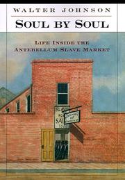 Soul by soul : life inside the antebellum slave market