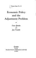 Economic policy and the adjustment problem