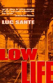 Cover of: Low life: lures and snares of old New York