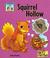Cover of: Squirrel Hollow
