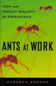 Cover of: Ants At Work: How An Insect Society Is Organized