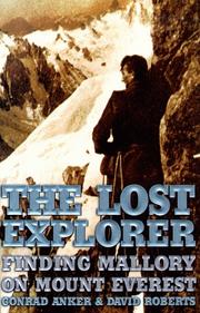 The Lost Explorer by David Roberts