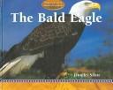The bald eagle by Jennifer Silate