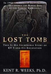 Cover of: The lost tomb by Kent R. Weeks