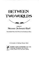 Cover of: Between two worlds: a novel