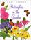 Cover of: Butterflies in the Garden