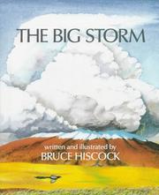 Cover of: The big storm