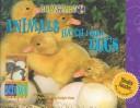 Cover of: Animals hatch from eggs
