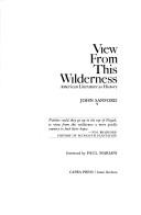 Cover of: View from this wilderness: American literature as history
