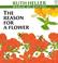 Cover of: The Reason for a Flower (World of Nature)