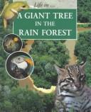 Cover of: A giant tree in the rain forest by Morgan, Sally.