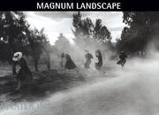 Magnum landscape