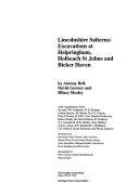 Lincolnshire salterns : excavations at Helpringham, Holbeach St Johns and Bicker Haven