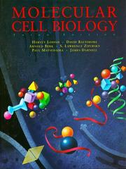 Cover of: Molecular cell biology by Harvey Lodish ... [et al.].