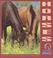 Cover of: Horses (Understanding Animals)
