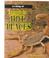 Cover of: Looking at Animals in Hot Places (Looking at... (Raintree))
