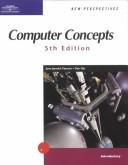 New perspectives on computer concepts