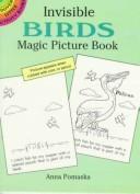 Cover of: Invisible Birds Magic Picture Book