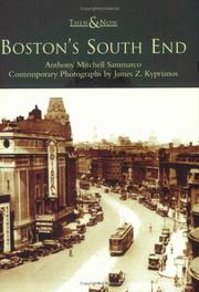 Boston's South End  (MA)   (Then &  Now) by Anthony  Mitchell  Sammarco