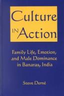 Cover of: Cultures in action: family life, emotion, and male dominance in Banaras, India