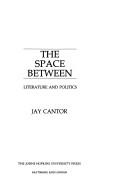 The space between : literature and politics