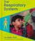 Cover of: The Respiratory System (Pebble Books)
