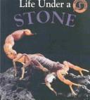 Cover of: Life Under a Stone (Microhabitats)