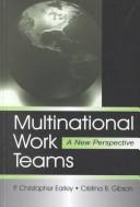 Multinational work teams : a new perspective