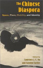 The Chinese diaspora : space, place, mobility, and identity