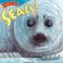 Cover of: Seals! (Know It Alls)