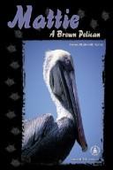 Cover of: Mattie: a brown pelican