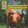 Cover of: Apatosaurus/Apatosaurio (Let's Read About Dinosaurs/ Conozcamos a Los Dinosaurios)