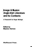 Cover of: Image & illusion: Anglo-Irish literature and its contexts : a festschrift for Roger McHugh