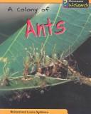 Cover of: A Colony of Ants (Spilsbury, Louise. Animal Groups.)