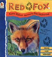 Cover of: Red Fox (Read & Wonder) by Karen Wallace