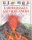 Cover of: Earthquakes and Volcanoes (Usborne Understanding Geography)