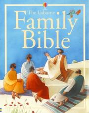 The Usborne family Bible
