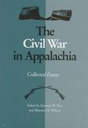 Cover of: The Civil War in Appalachia: Collected Essays