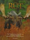Cover of: The Rut: The Spectacular Fall Ritual of North American Horned and Antlered Animals