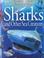 Cover of: Sharks and Other Sea Creatures